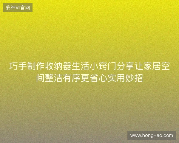 巧手制作收纳器生活小窍门分享让家居空间整洁有序更省心实用妙招